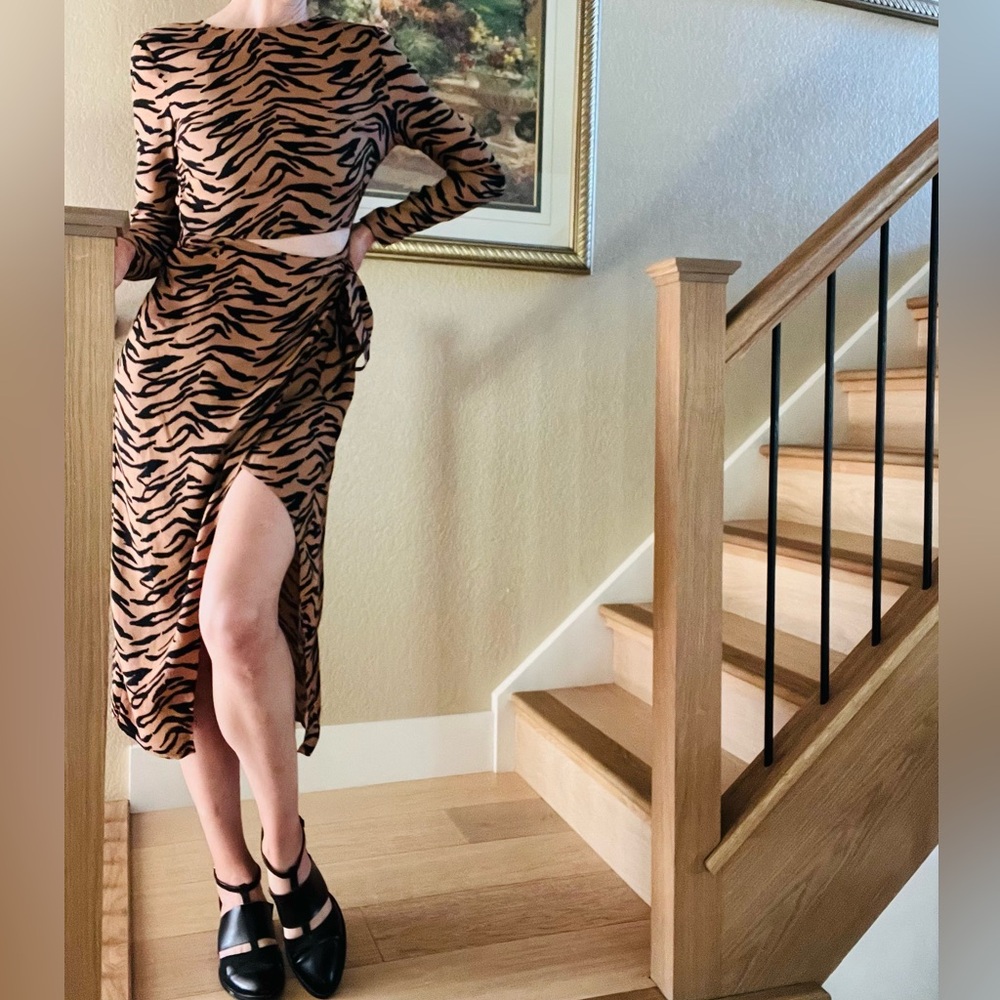 Reformation Maurita Tiger Stripe Print Dress - Picture 4 of 12